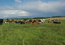 Išmokos turėtų pasiekti jau spalio mėnesį
