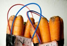 Nuo pavasario – daugiau galimybių šalims apsispręsti dėl GMO auginimo