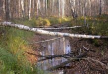 Seniems durpynams – naują gyvenimą