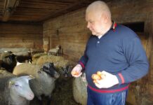 Šeimos ūkiai – ir maitina, ir teikia džiaugsmą
