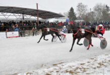 Praėjusių metų ristūnų lenktynių karalius Egidijus Gudonis – tikras džentelmenas