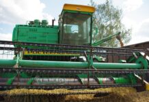 Daugiau nei 5 mln. tonų grūdų – absoliutus rekordas