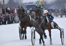 „Sartų 2015“ šventėje kailinių neprireiks