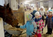 Vaikus sužavėjo edukacinė pamoka žirgyne