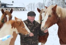 Vaikutėnų dvaro sodybos fragmentai – ant išnykimo ribos