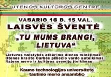Šventinių renginių, skirtų Vasario 16-ajai, įvairovė