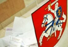 Rinkimų maratone anykštėnė skaudžiai suklupo