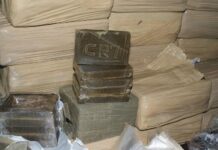 Muitininkai pernai sulaikė daugiau kaip 800 kg narkotikų