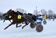 „Sartai 2015“: ledo taku skries dar daugiau ristūnų nei pernai