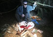 Brakonierius stirnas gaudė ir prie sodų bendrijos