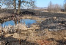 Gaisrų atvirose teritorijose nemažėja