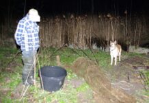 Tikėjosi gero grobio, bet viltis sužlugdė pareigūnai