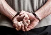Molėtų rajono sodybų savininkai gali lengviau atsipūsti: sučiupta 11 vagišių
