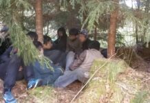 Sulaikyti į Lietuvą neteisėtai patekę indai ir vietnamiečiai