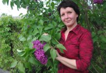 Žiedų žaismas floristiniuose Astos Kaminskienės paveiksluose