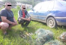 Sugauti nenuilstantys pažeidėjai