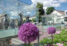 Stiklo galerijoje eksponuojamos V. Valiušio vazos, primenančios moters kūno formas