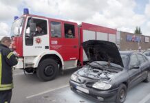 Graužikų dėka vos nesudegė automobilis