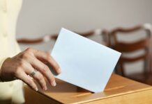 Bus rengiamas referendumas dėl dvigubos pilietybės