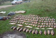 10 tūkst. eurų brakonieriams kainuosiantis „laimikis“ atiteko zoologijos sodo gyvūnams