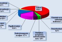 Šildymo sezonas: dėl netvarkingų krosnių pleška namai ir sodybos