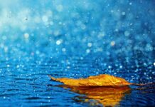 Atsinaujinusi meteo.lt – patogesnės paslaugos, tikslesnė informacija