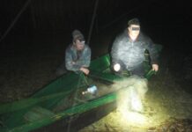 Norėjo paragauti žuvų, pagautų Tauragno ežere