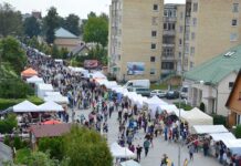 Lietuvos savivaldybių indeksas 2015: Utenos rajonas nusirito