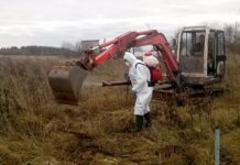 Utenos rajone – afrikinio kiaulių maro atvejis