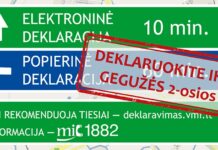 Antradienį prasidėjo pajamų deklaravimas: yra ir naujovių