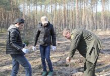 Nacionalinio miško sodinimo šventė kviečia į Vyžuonų girininkiją