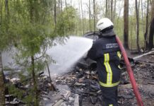Utenos krašte – gaisrų virtinė: žuvo žmogus