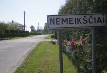 Ištuštėję Nemeikščiai skęsta pienių jūroje