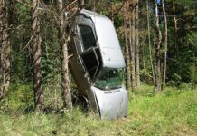 Kelių erelio poelgis pribloškė net visko mačiusius policijos pareigūnus