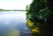 Per vieną dieną ištraukti net du skenduoliai