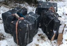 Surasti kontrabandininkus padėjo keturkojis pėdsekys