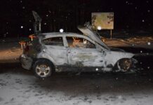Ignalinos rajone prie sudegusio automobilio – kraupus radinys
