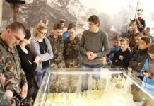 Jaunųjų šaulių žinias papildė edukacinės programos