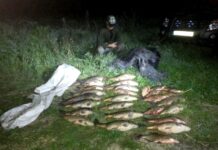 Kas mėnesį – po tūkstantį pranešimų apie skriaudžiamą gamtą