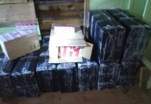 Pasieniečių laimikis – kontrabandinės cigaretės, du jų krovikai ir nesąžiningi kolegos