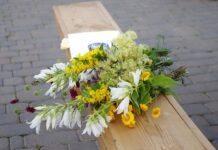 Daugailiuose praūžė tradicinė šventė