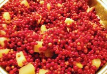 Kriaušių, obuolių, bruknių ir bananų uogienė