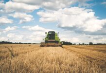 Daugiau patikrų – rizikingų pareiškėjų ūkiuose