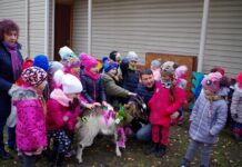 Artėjančią žiemą pasitiko su papuošta ožkele