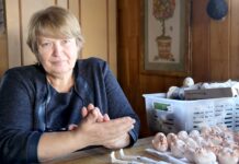 Kūrėją užbūrė magiškas lėlių pasaulis