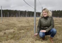 Apsisprendimas gyventi kaime lėmė verslą