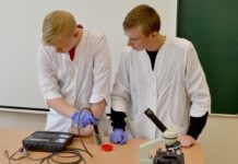 Projektinė veikla Utenos „Saulės“ gimnazijoje