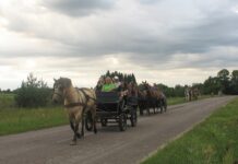 Po žvaigždėtu vasaros dangumi – naktigonė