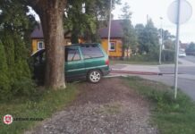 Mirtinai girtas kelių erelis kelio ženklus vartė it kėglius