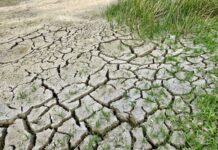 Draudimo įmokoms kompensuoti – daugiau kaip 3 mln. eurų